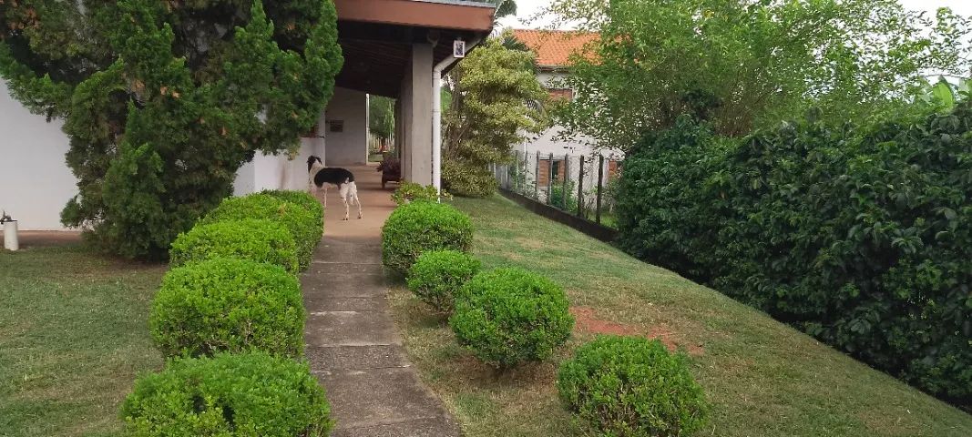 Jardinagem e paisagismo  - Foto 5