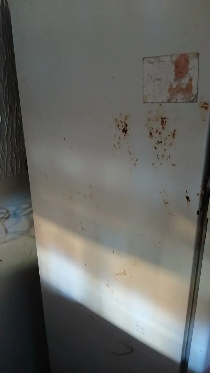Geladeira - Foto 4