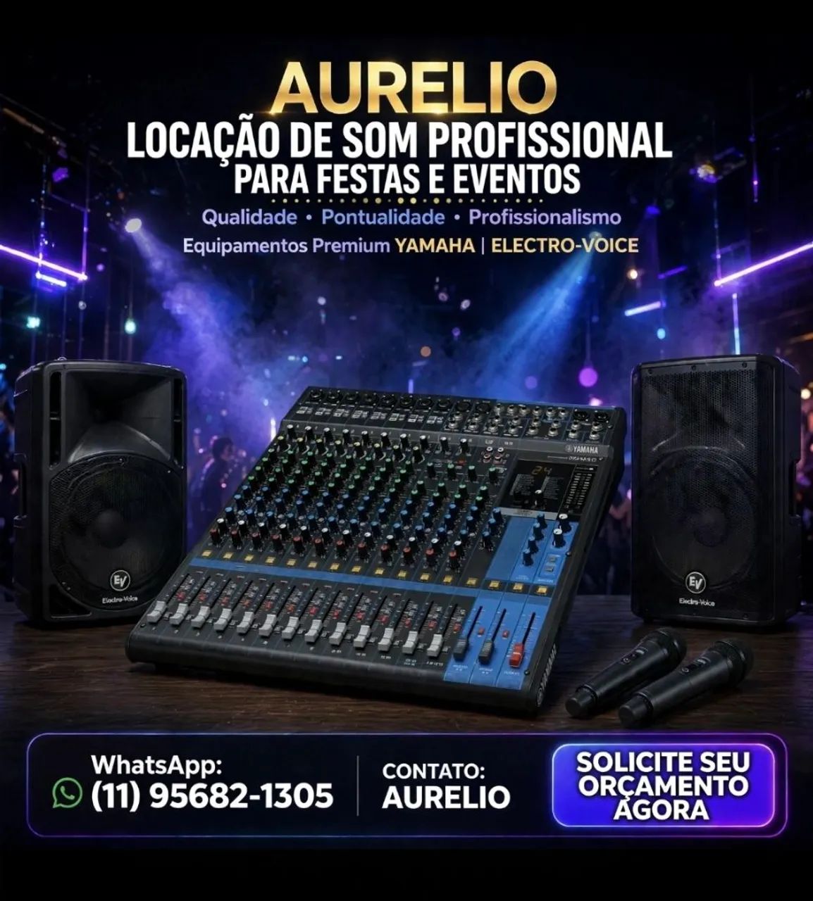 Locação Som Profissional Festas e Eventos