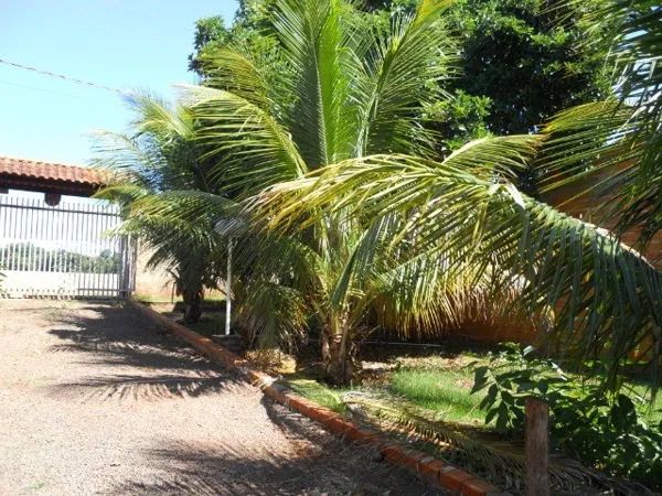 Zona Rural - Alvorada do Sul - Foto 3