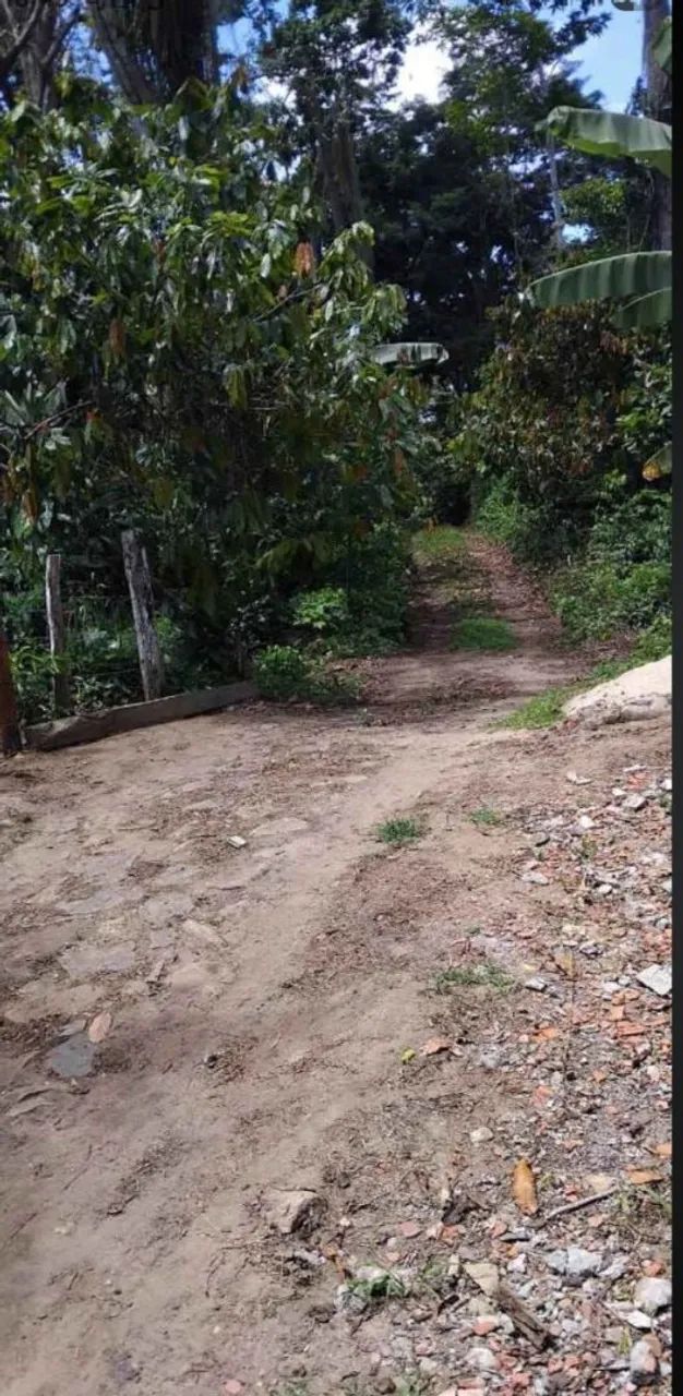 Vende-se Sítio em Jussari-Ba  - Foto 5