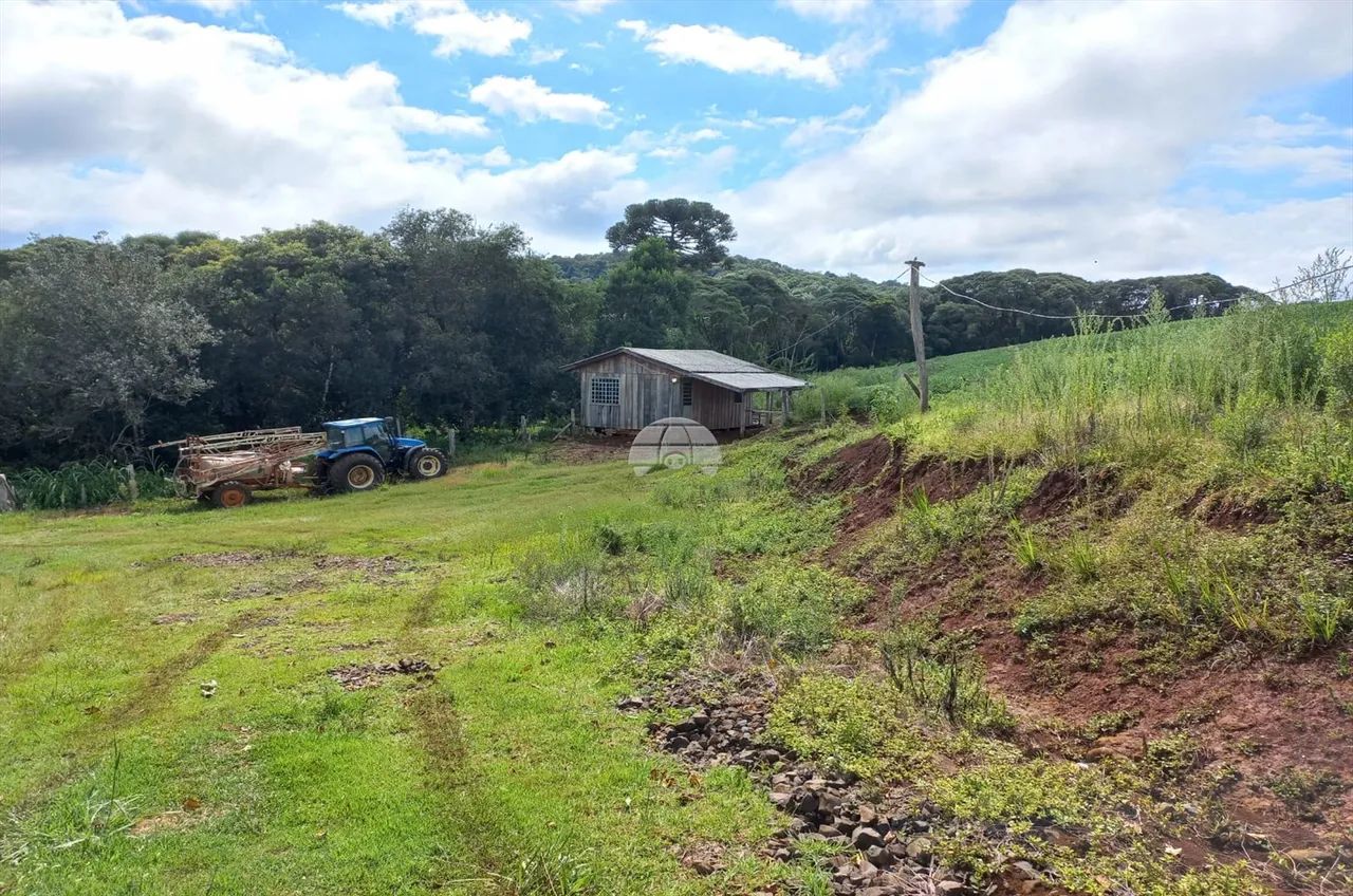Vendas Chácara Palmeirinha PR - Foto 2