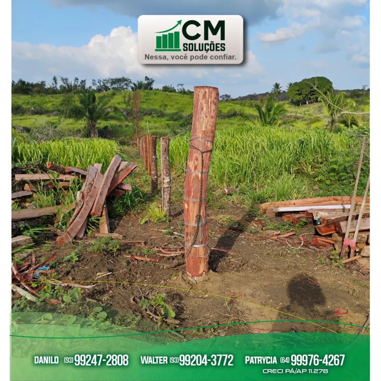 Fazenda à Venda no  Pará  - Região Sudoeste  - Foto 5