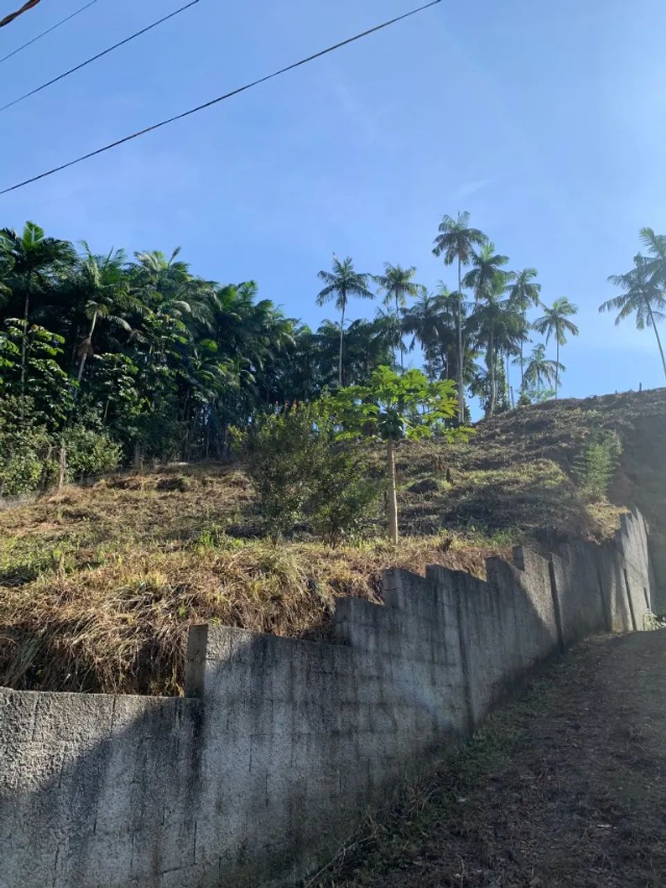 Terreno no Centro de Pomerode  com 549 m2 - Foto 5