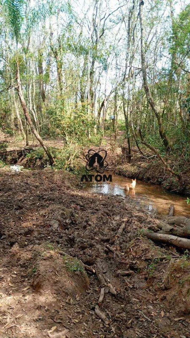 Sítio com 2 alqueires em Lagoinha - Foto 3