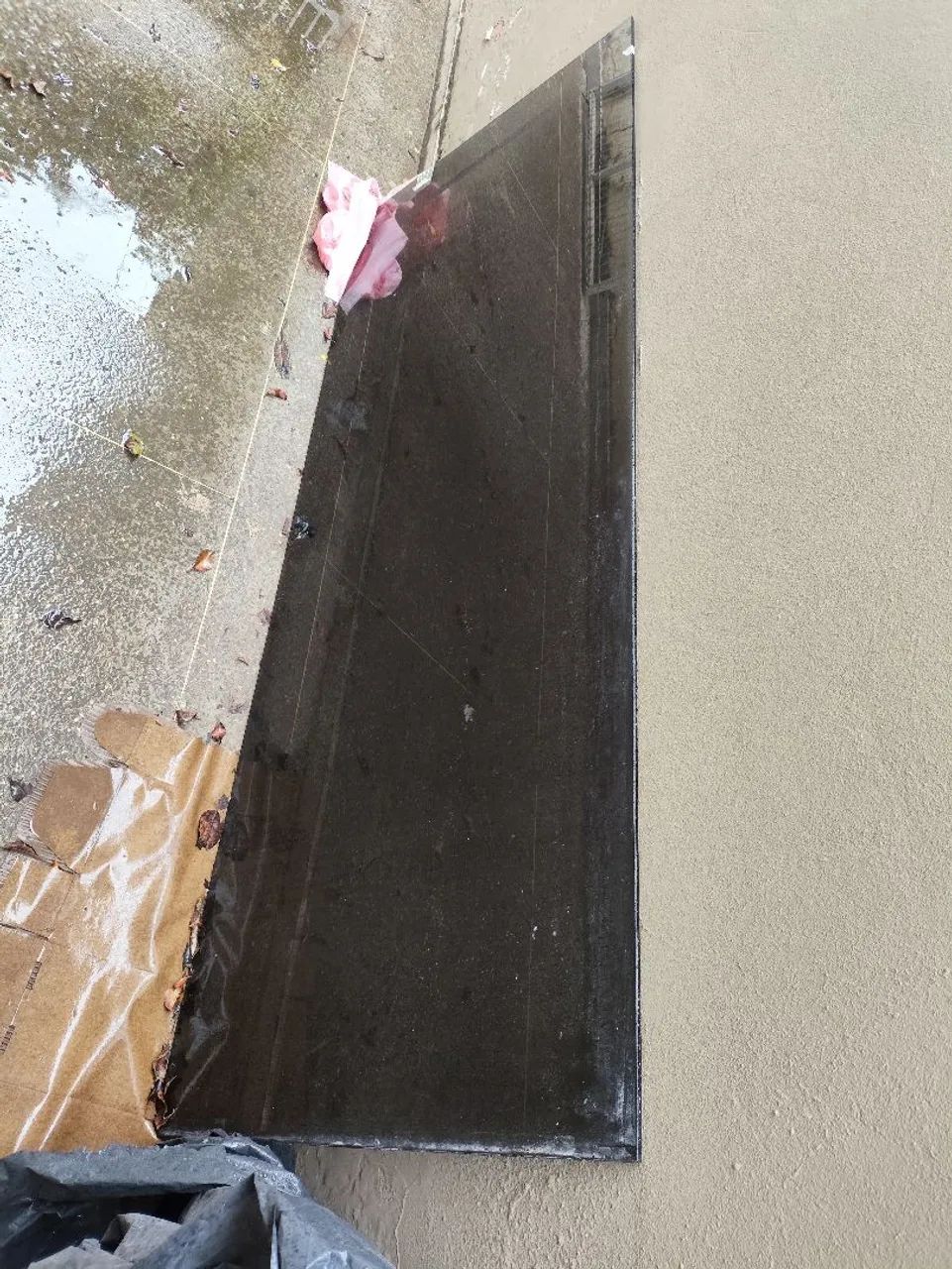 Shower Door64985875056643120