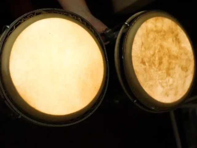 Bongôs Torelli 6x7 Polegadas - Foto 3