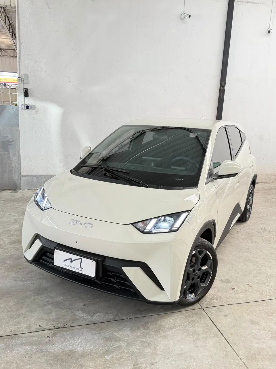 BYD Dolphin Mini (Elétrico) 2026