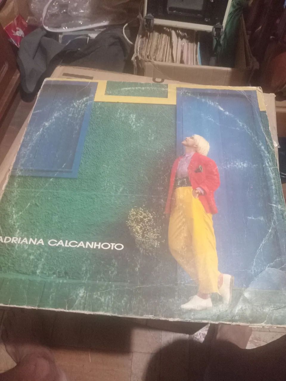 LP ADRIANA CALCANHOTO