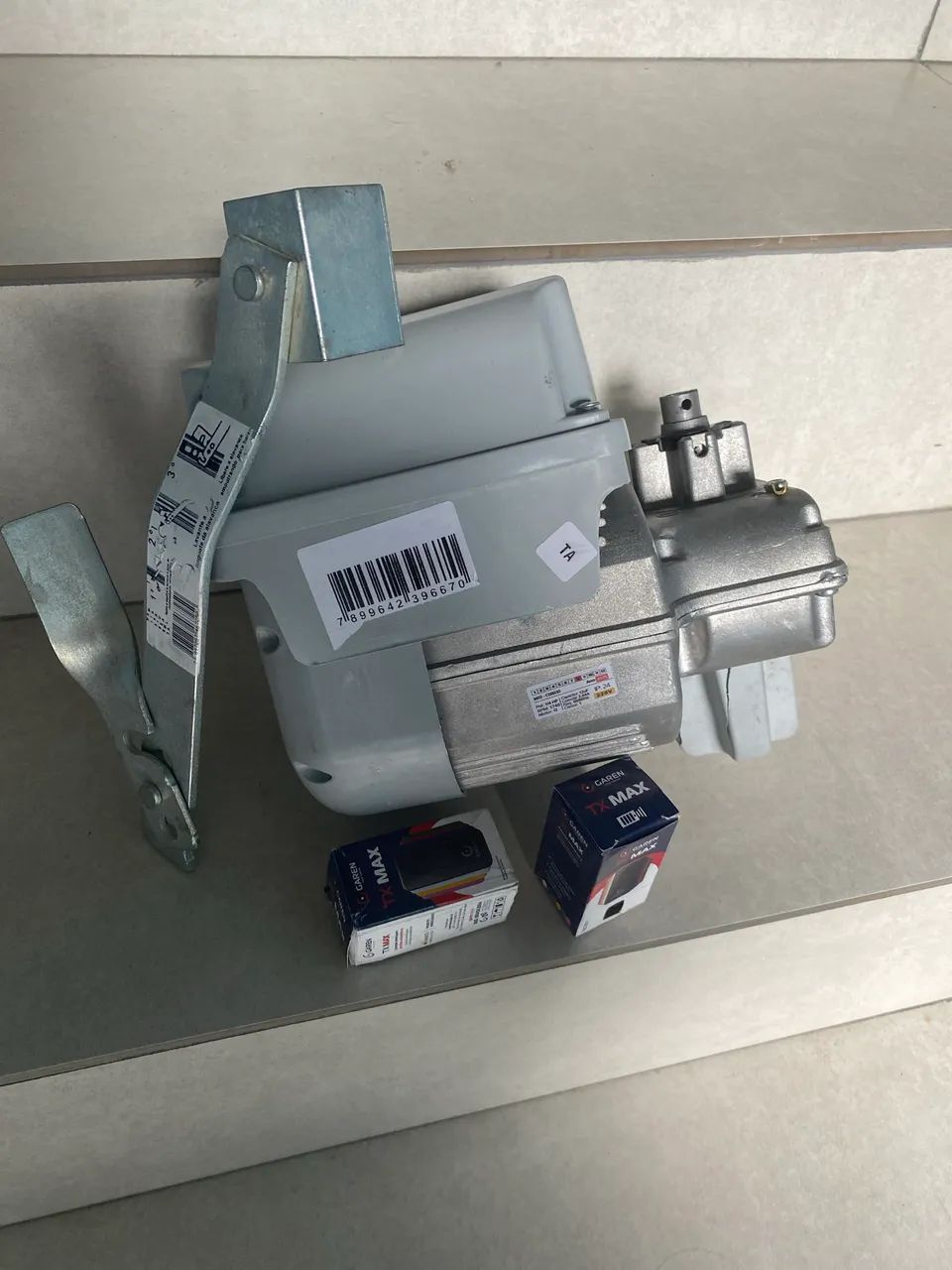 Motor Basculante 1/4hp Garden Bv Fit Ramp 300kg 13s 220v