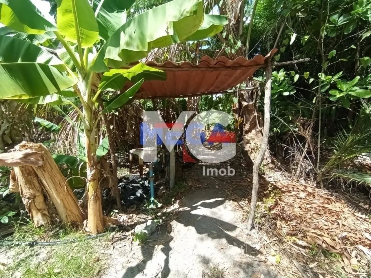 Chácara à venda 3 quartos em Catolé - Foto 2