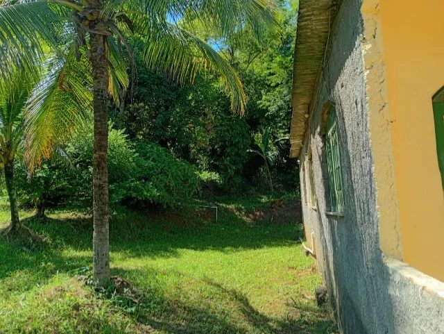 Mini sítio com casa, pronta pra morar. No cep aparece marapicu mas é vila santo Antônio,  - Foto 8