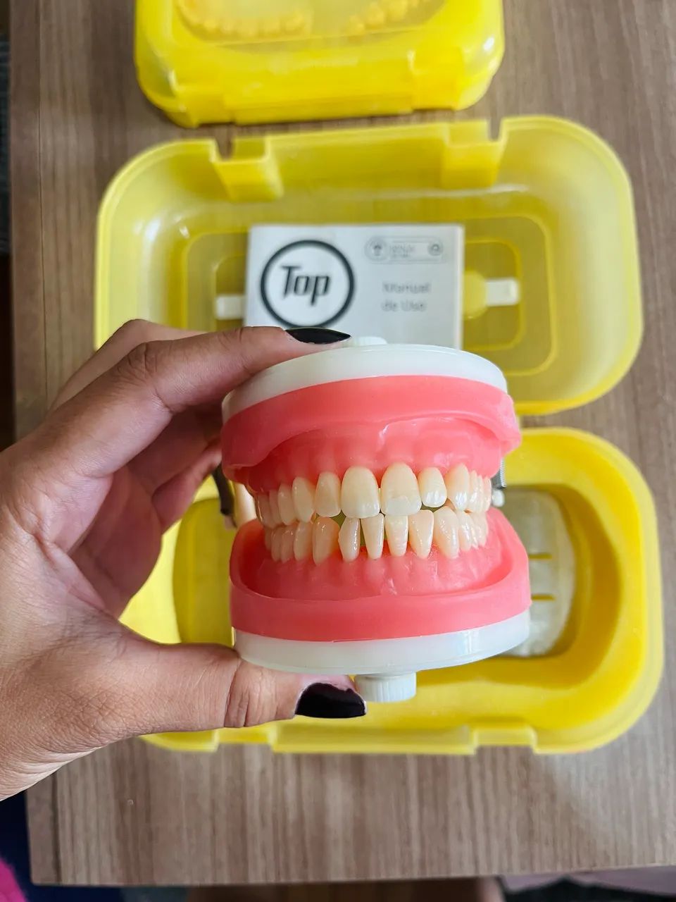 Manequim Odontológico Top Dentística Pd 100 Pronew - Foto 2