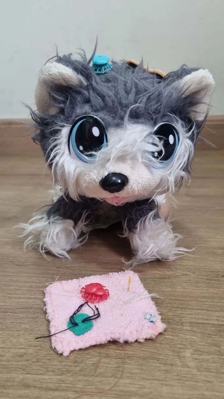 Cachorrinho cuida de mim