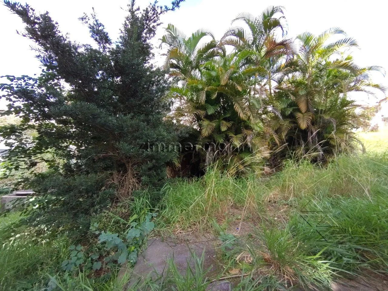 TERRENO CAMPO BELO - Foto 3