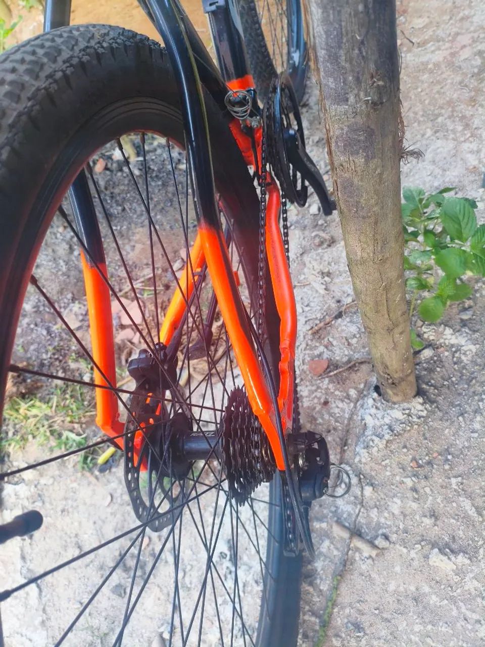 BIKE ECOS - Foto 5