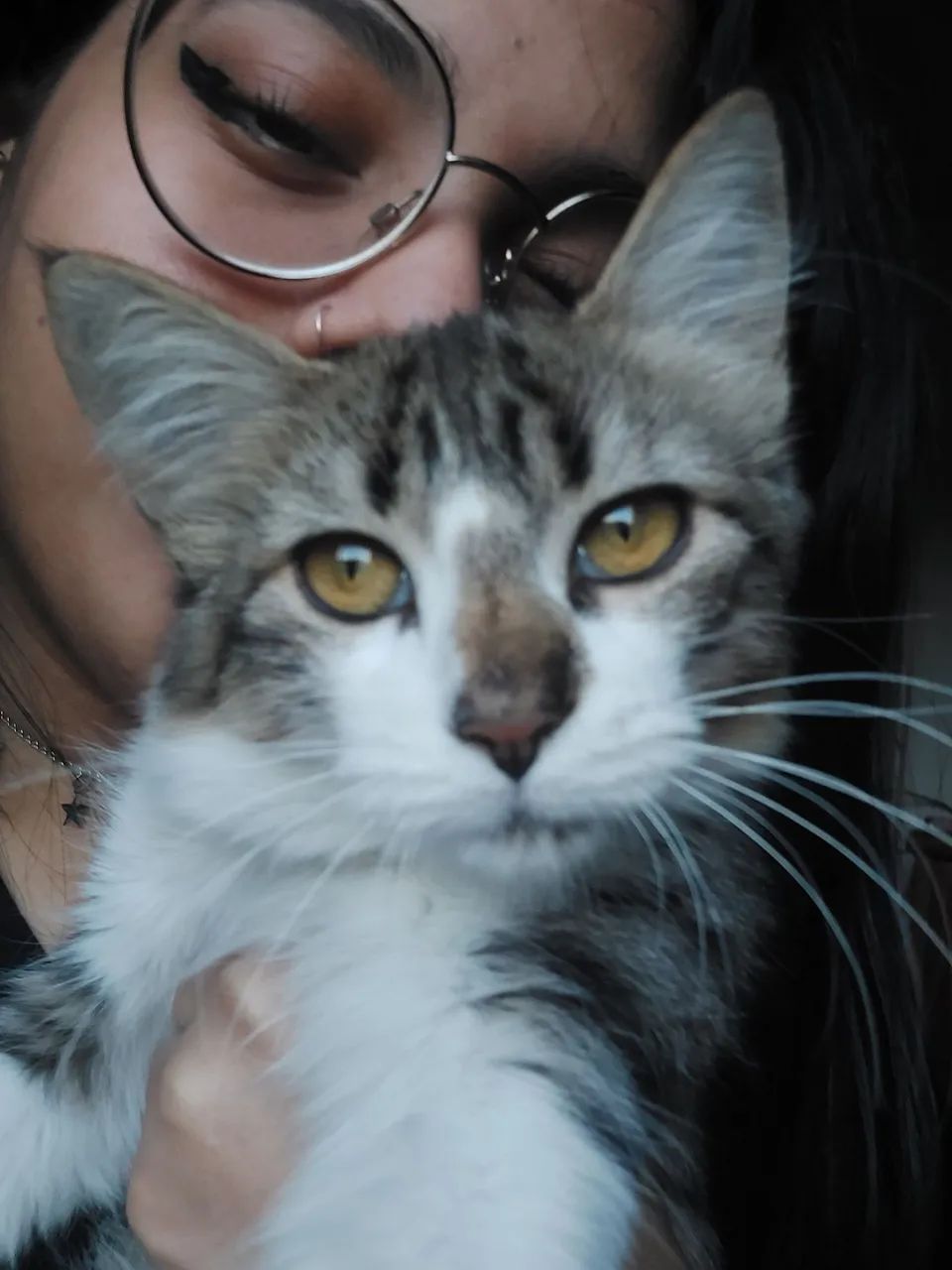 Pet Sitter - Foto 4