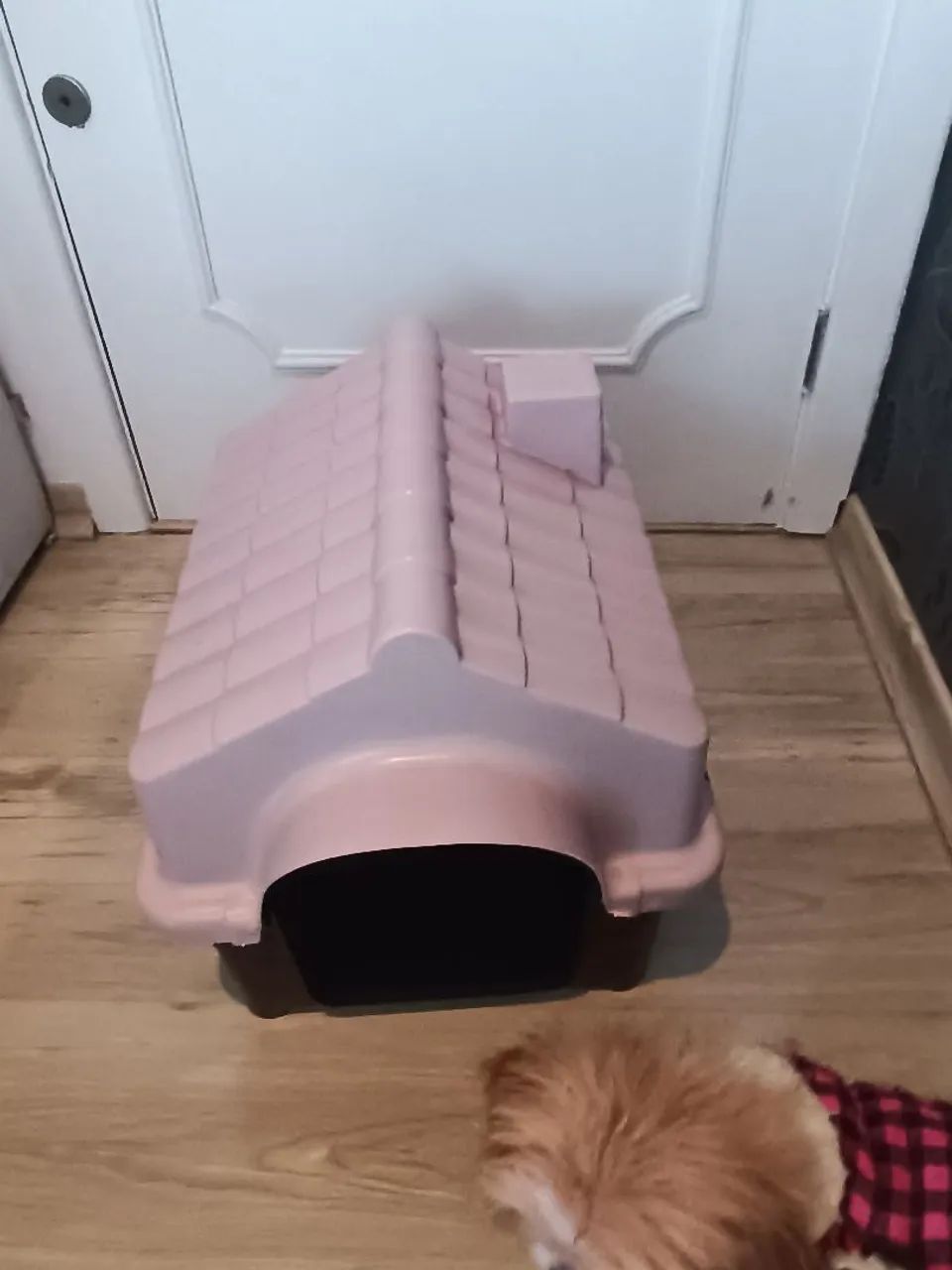 Casinha resistente para porte pequeno/médio  - Foto 3