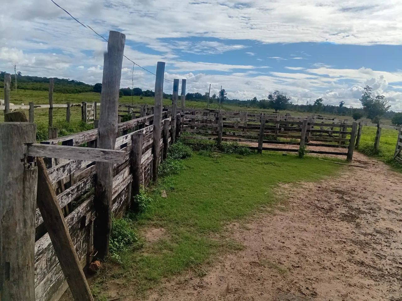 Terra a venda - Foto 3