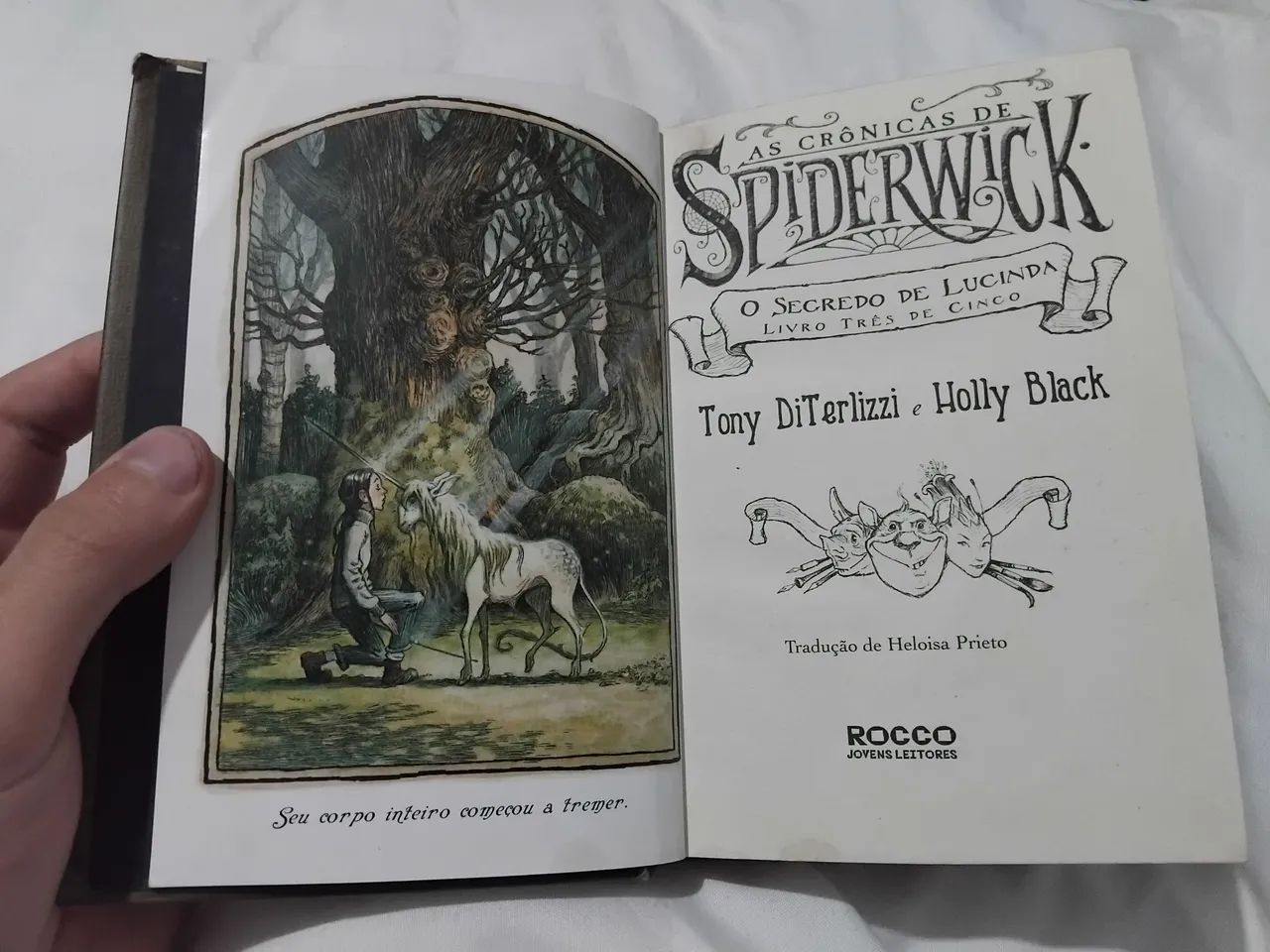 Livros As Crônicas de Spiderwick (3, 4 e 5) - Foto 2