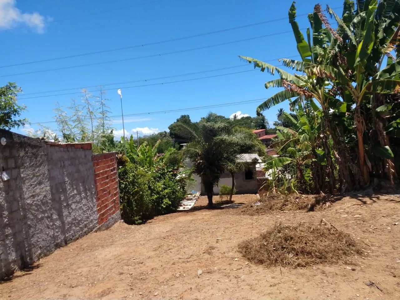 Vendo um sitio com 3 casas.