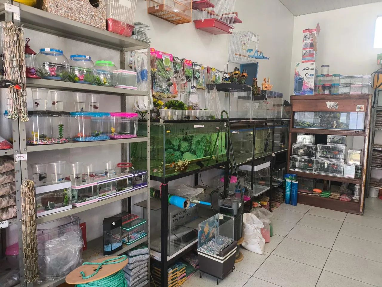 Loja agropecuária em Apucarana  - Foto 3