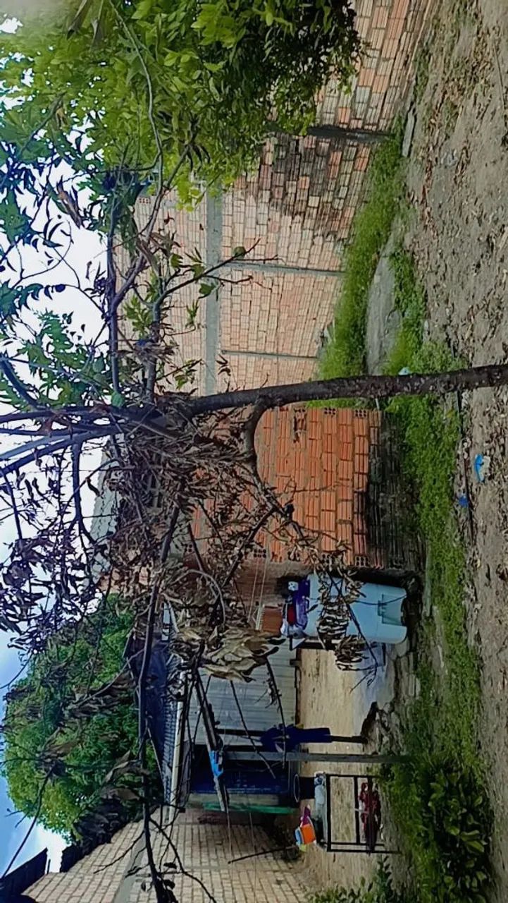 Casa no ARACELIS em ótima localização  - Foto 6