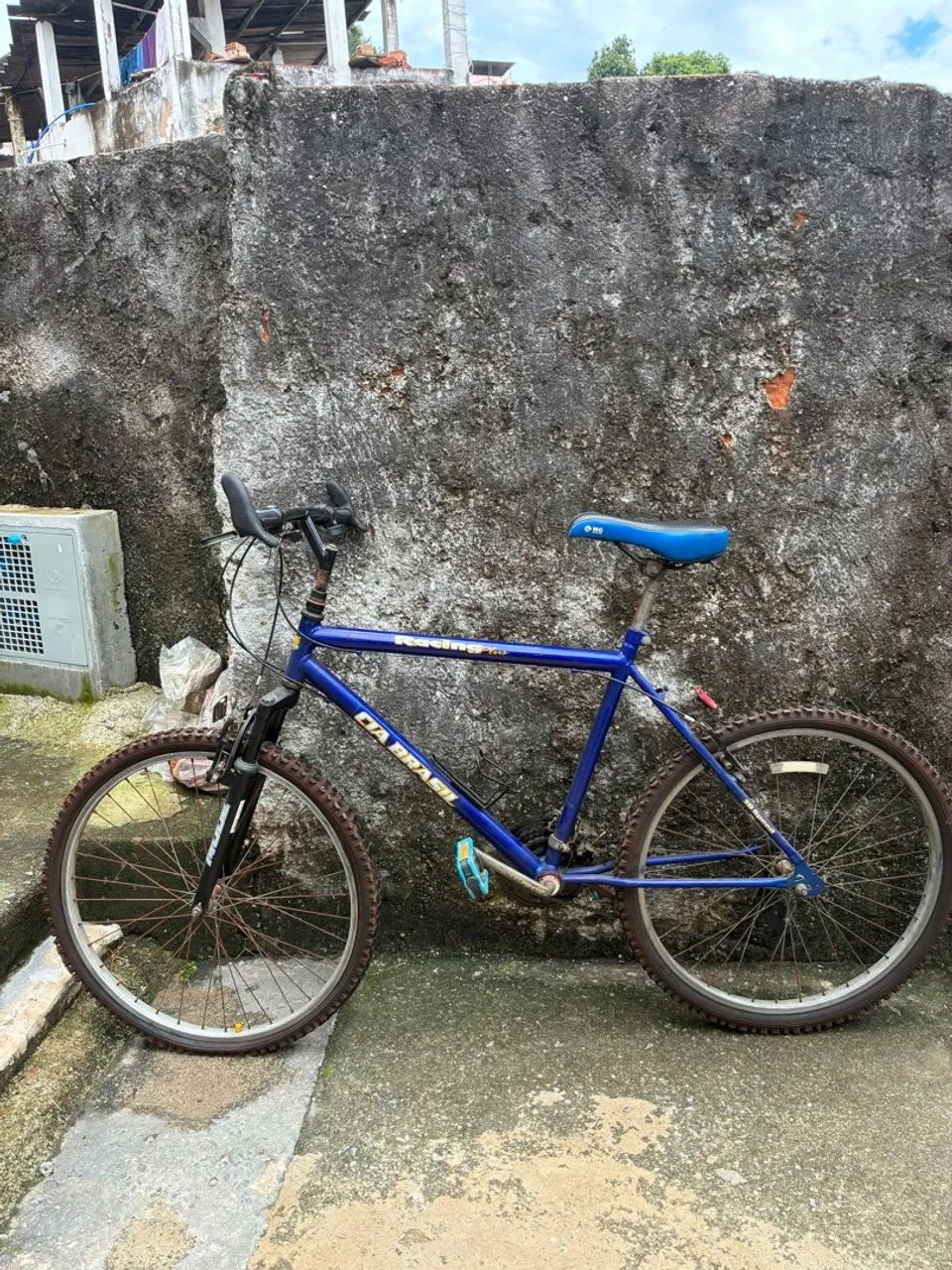 Bicicleta 