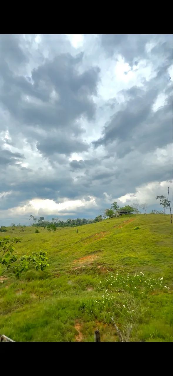 Vende-se colonia - Foto 4