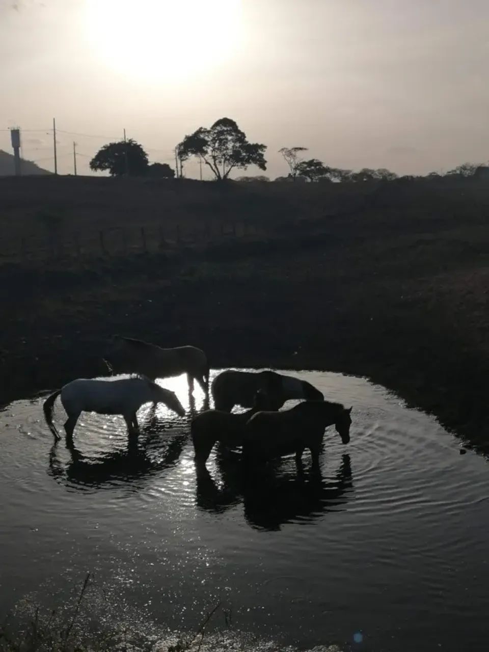 Terreno em Condomínio para Venda em Gurinhém - Foto 5