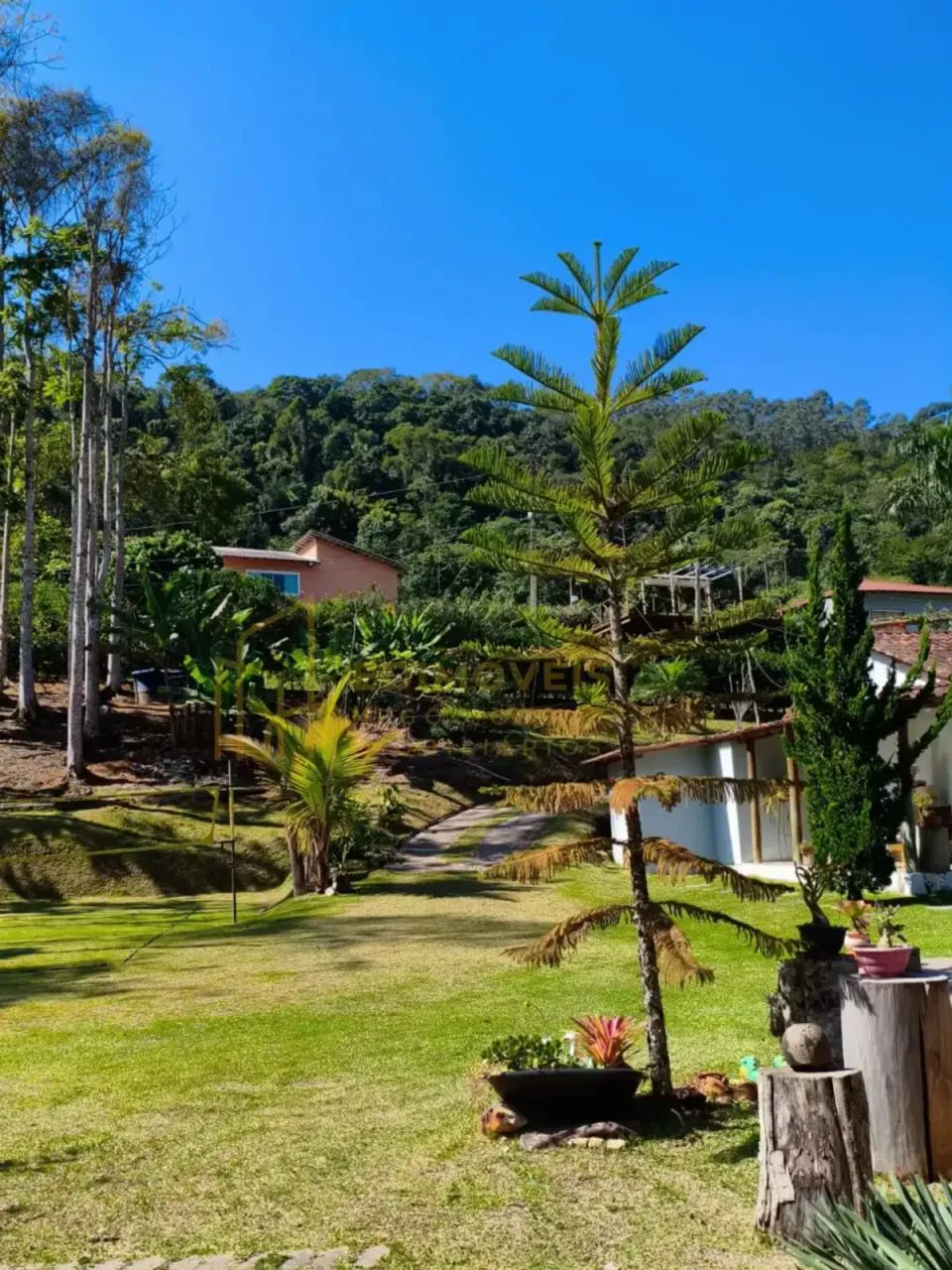 Incrível Casa com Piscina e Natureza em Domingos Martins - Foto 2