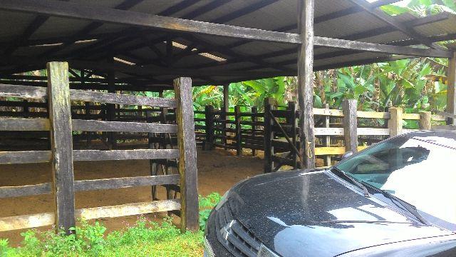 Fazenda Vale do Jequiriçá Amargosa