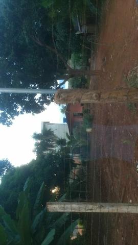 Casa na Rajadinha - Foto 4