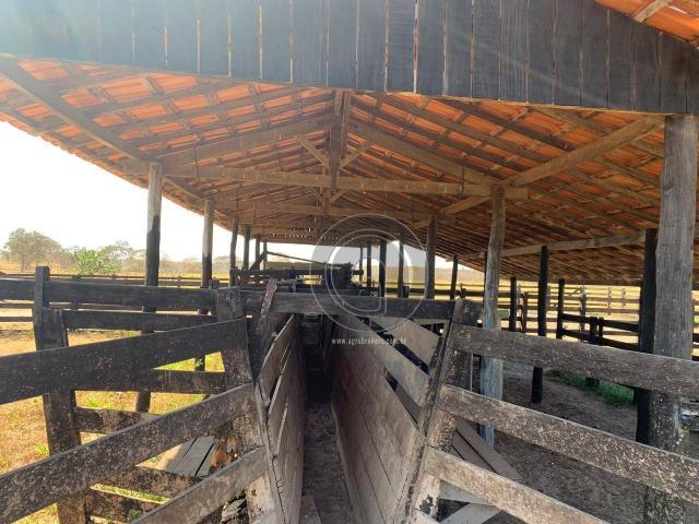 Fazenda 490 ha estrada de cáceres - Foto 17