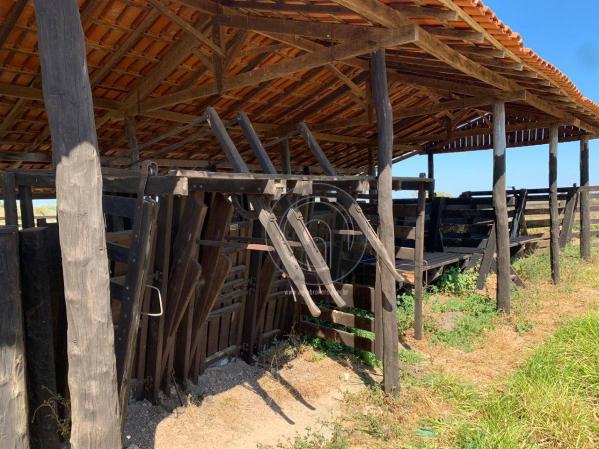 Fazenda 490 ha estrada de cáceres - Foto 10