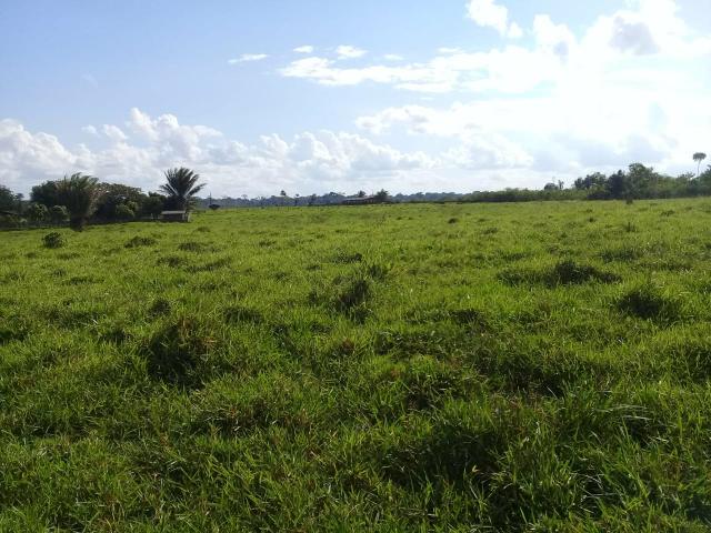 Ótima fazenda med. 3.900 hectares na Br 317 - Foto 2