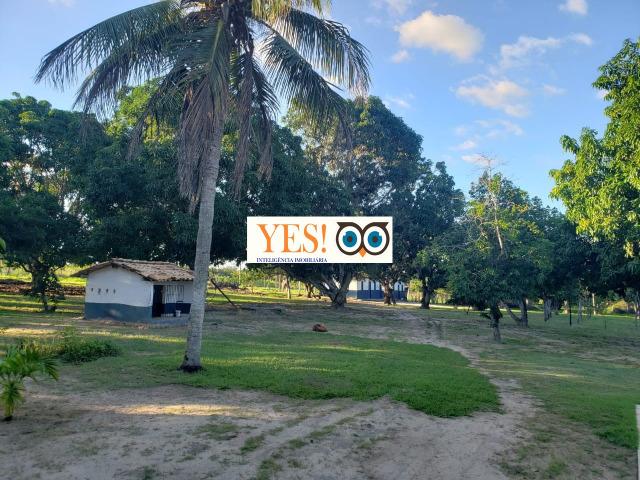 Linda Fazenda no Distrito de Pau Seco - Humildes - Área de 95.832 m² - Foto 18