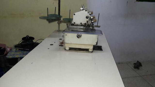 Maquina interlock industrial - Foto 4