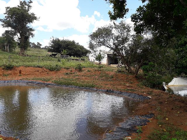 Fazenda à venda, por R$ 900.000.00 - Zona Rural - Luziânia/GO - Foto 12