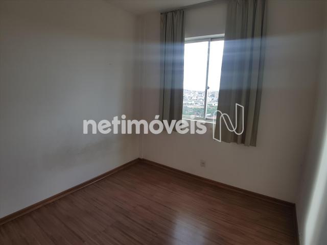 Apartamento para alugar com 2 dormitórios em Nova suíssa, Belo horizonte cod:774969 - Foto 13