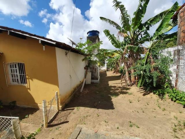 Chacará a venda em Tabajara - Foto 15