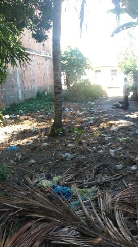 Terreno