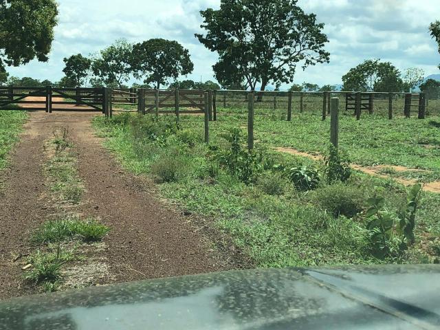 Fazenda 1.163 hectares em Livramento MT - Foto 13
