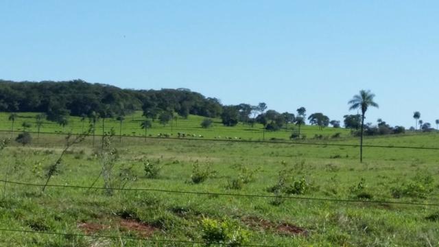 Fazenda em Campo Grande 4mil hectares!! - Foto 14