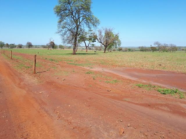 Fazenda em Campo Grande 4mil hectares!! - Foto 18