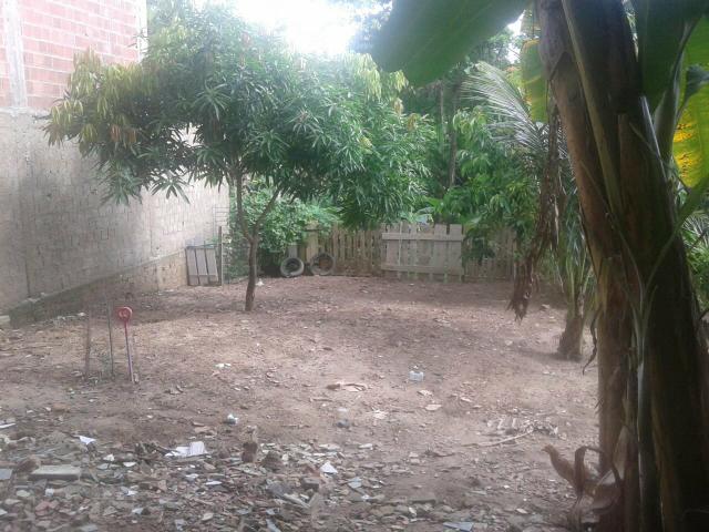 Casa na várzea - Foto 5