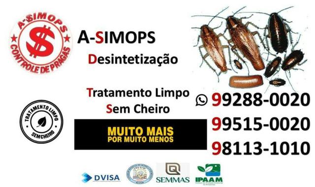 Orçamentos sem compromisso detetização