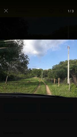 Fazenda no Sul do Piauí