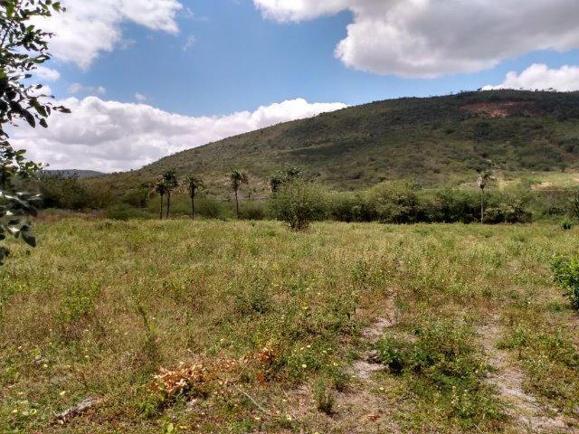 Vendo uma excelente área no bairro da Gameleira da Sede em Campo Formoso / Ba. - Foto 5