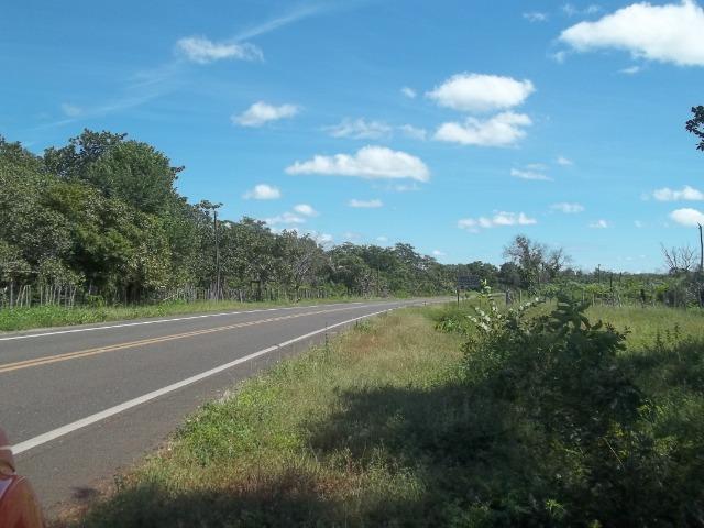 Fazenda as margem da BR 222 a 01 km de Batalha ? PI - Foto 8